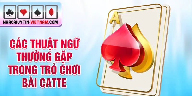 Các thuật ngữ thường gặp trong trò chơi bài catte Các thuật ngữ thường gặp trong trò chơi bài catte