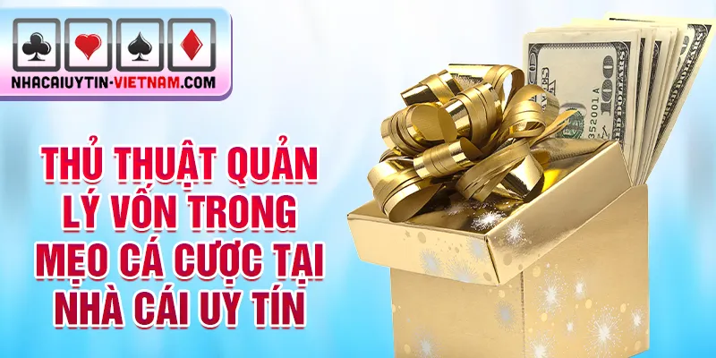 Thủ thuật quản lý vốn trong mẹo cá cược tại nhà cái uy tín