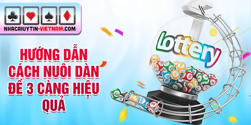 Hướng dẫn cách nuôi dàn đề 3 càng hiệu quả